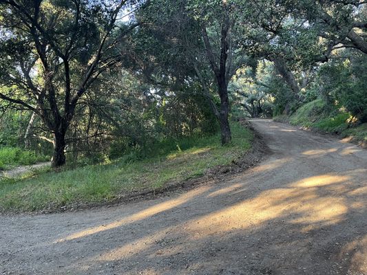Marshall Canyon Regional Park by null