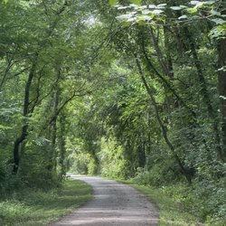 Great Western Trail