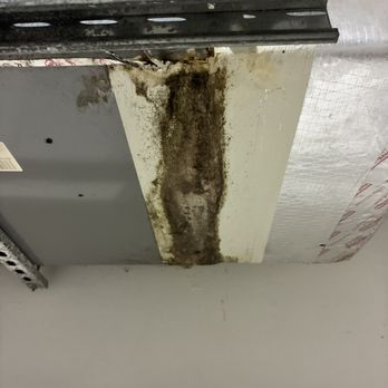 Twin Palms Inspections - More visible evidence of mold on the handler - Home Inspectors Near Me Twin Palms Inspections - More visible evidence of mold on the handler - Home Inspectors Near Me