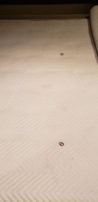 イーホテル東新宿 by null