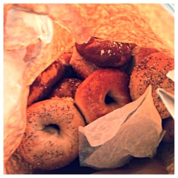 Chester Bagel & Deli - A mix of bagel perfection from my last trip to NJ. - Bagels Near Me - Chester, New Jersey Chester Bagel & Deli - A mix of bagel perfection from my last trip to NJ. - Bagels Near Me - Chester, New Jersey