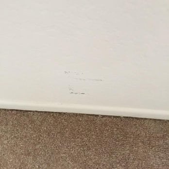 Woodbend Apartments - paint touch for about 15% of my deposit - Apartments Near Me - Alta Loma, California