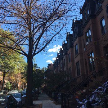Healing Family Chiropractic - Brooklyn Brownstones - Chiropractors Near Me - Brooklyn, New York