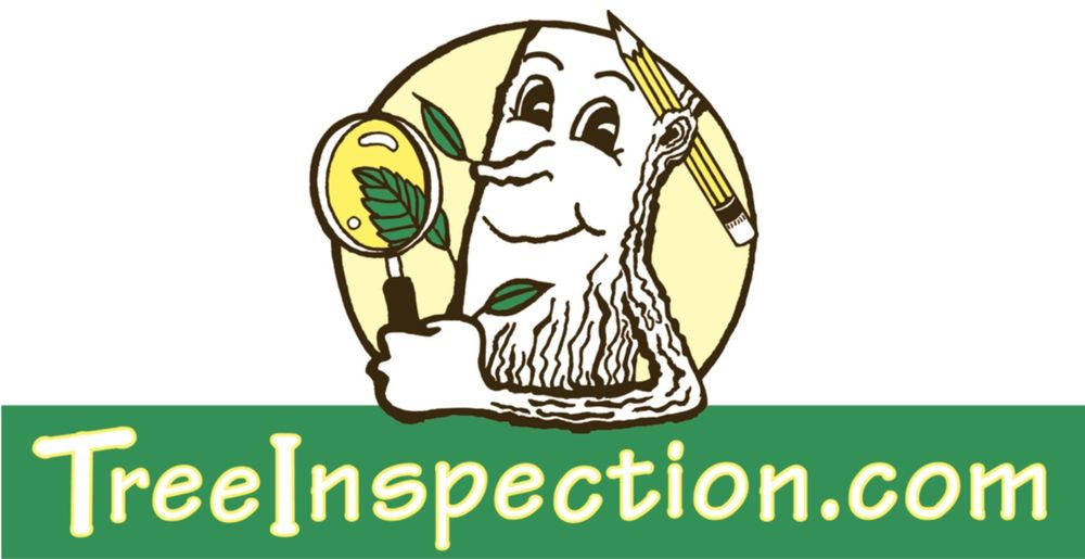 Treeinspection.Com - tree service in Atlanta, GA