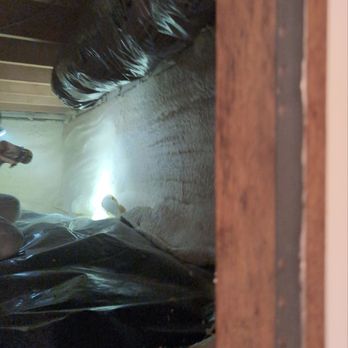 TFMI Services - After removing contaminated insulation, we applied spray foam in key crawl space areas to seal openings and improve energy efficiency. - Insulation Installation Near Me - Holland, Ohio TFMI Services - After removing contaminated insulation, we applied spray foam in key crawl space areas to seal openings and improve energy efficiency. - Insulation Installation Near Me - Holland, Ohio