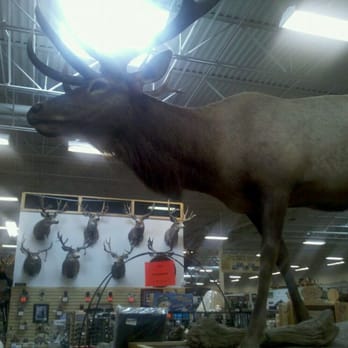Sportsman's Warehouse - Hunting & Fishing Supplies Near Me - St. George, Utah Sportsman's Warehouse - Hunting & Fishing Supplies Near Me - St. George, Utah