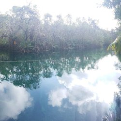 Cenote Escondido - View form the far side