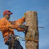 Sam's Tree Service Removal & Trimming gift card