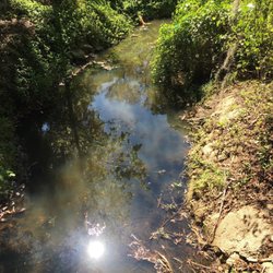 Seminole Campground - Little creek behind out camp site