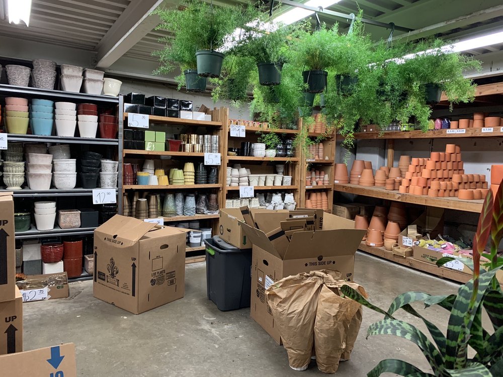 HARRY MAYESH WHOLESALE PLANTS Updated August 2024 22 Photos 758