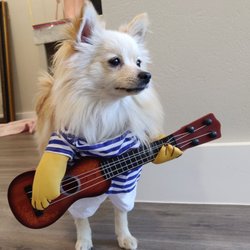Lone Star Guitar Lessons