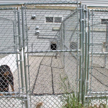 Beinnein Kennels - Pet Groomers Near Me - Priddis, Alberta Beinnein Kennels - Pet Groomers Near Me - Priddis, Alberta