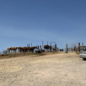 Horsin Around Adventures - The rest of the horses - Horseback Riding Near Me - Cornville, Arizona Horsin Around Adventures - The rest of the horses - Horseback Riding Near Me - Cornville, Arizona