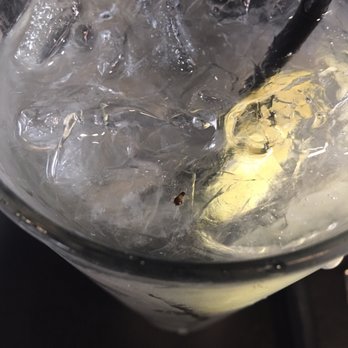 After 5 - Water with lemon and a baby roach - Bars Near Me - Merced, California