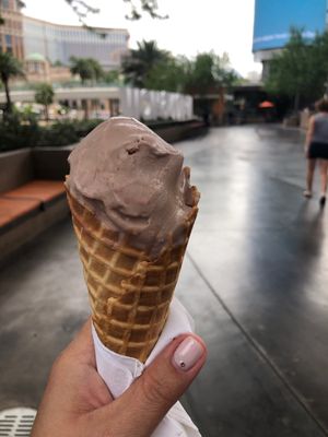 Sticks and Shakes by null