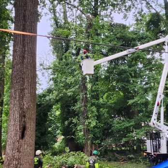 Allen & Sons Tree Service - Tree Services Near Me - Middle River, Maryland Allen & Sons Tree Service - Tree Services Near Me - Middle River, Maryland