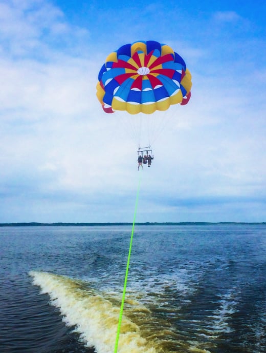 Duck Parasail Logo