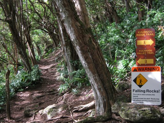 Kuli'ou'ou Valley Trail by null