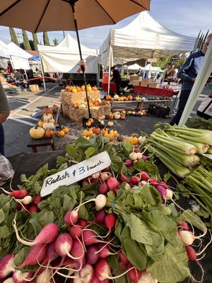 Orange Home Grown Farmers & Artisans Market by null