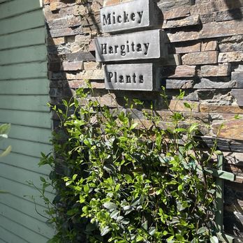 Mickey Hargitay Plants - Sign at the entrance - Nurseries & Gardening Near Me - Los Angeles, California Mickey Hargitay Plants - Sign at the entrance - Nurseries & Gardening Near Me - Los Angeles, California