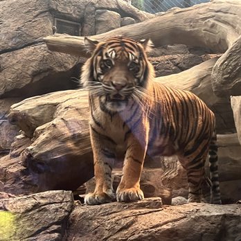 Downtown Aquarium - Museums Near Me - Denver, Colorado Downtown Aquarium - Museums Near Me - Denver, Colorado