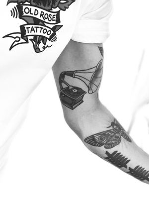 Old Rose Tattoo by null