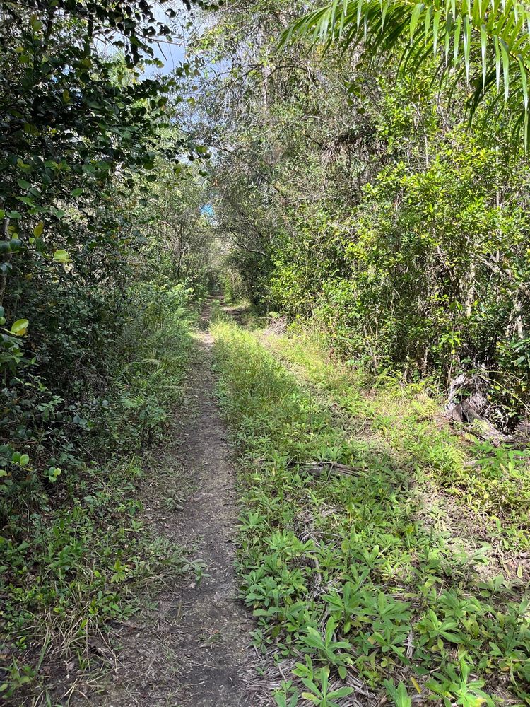 Fakahatchee Strand Preserve State Park