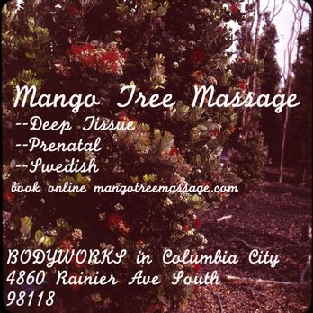 Mango Tree Massage - Massage Therapy Near Me - Seattle, Washington Mango Tree Massage - Massage Therapy Near Me - Seattle, Washington