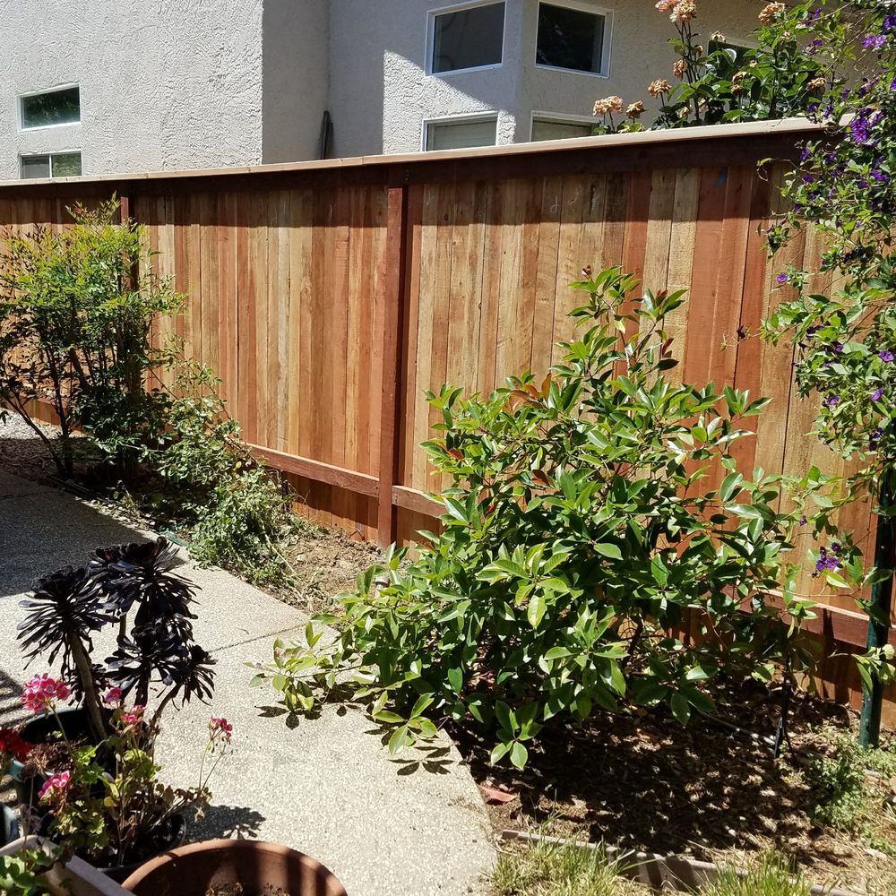 Dan's Construction Sacramento - After... solid and beautiful work by Dan's Construction - Fences & Gates Near Me - Elk Grove, California Dan's Construction Sacramento - After... solid and beautiful work by Dan's Construction - Fences & Gates Near Me - Elk Grove, California