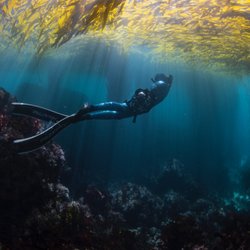 MBAY Freediving