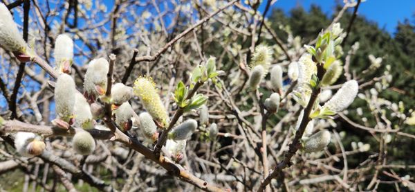 Cape Perpetua Visitor Center - Siuslaw National Forest by null