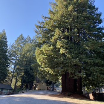 Catholic Charities CYO Camp - Summer Camps Near Me - Occidental, California
