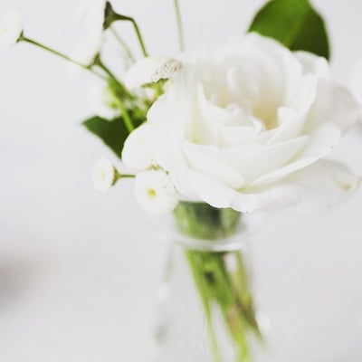 Daphne European Skincare & Sugaring Studio by null