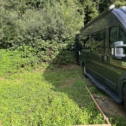 Oregon Coast RV Resort - Overgrown vegetation on site