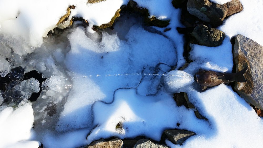 NORTHLAND GARDENS Updated September 2024 30 Photos 423 W Mountain Rd, Queensbury, New York