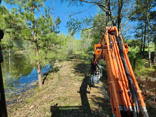 Angry Beaver Mulching and Excavation