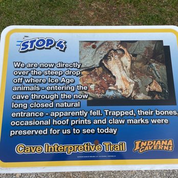 Indiana Caverns - Ziplining Near Me - Corydon, Indiana Indiana Caverns - Ziplining Near Me - Corydon, Indiana