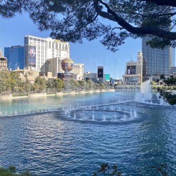 Spago - The view from inside Spago (8/9/2020) - New American Near Me - Las Vegas, Nevada