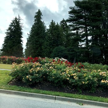 Stanley Park - Roses - Parks Near Me - Vancouver, British Columbia Stanley Park - Roses - Parks Near Me - Vancouver, British Columbia