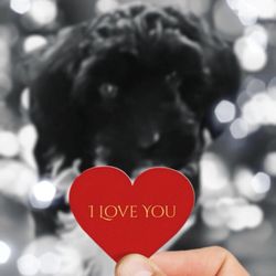 Potty Central - Cumming - Happy Valentine's Day!!
