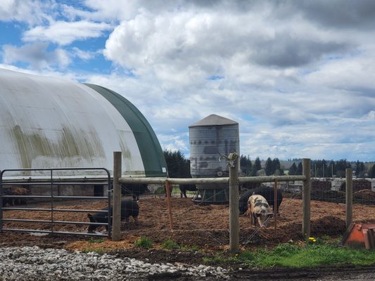 Alluvial Farms by null