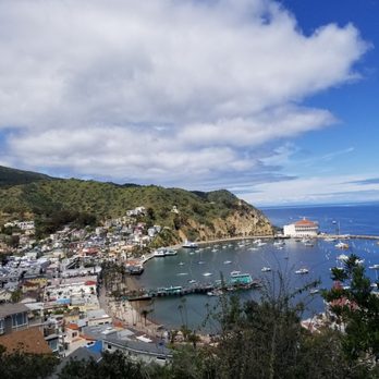 Catalina Island - Local Flavor Near Me Catalina Island - Local Flavor Near Me