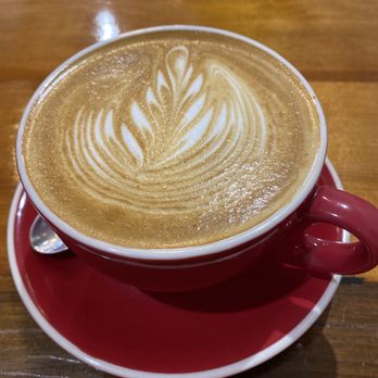 Altitude Coffee Roastery - Large Flat white! - Coffee & Tea Near Me - Armidale, NSW Altitude Coffee Roastery - Large Flat white! - Coffee & Tea Near Me - Armidale, NSW