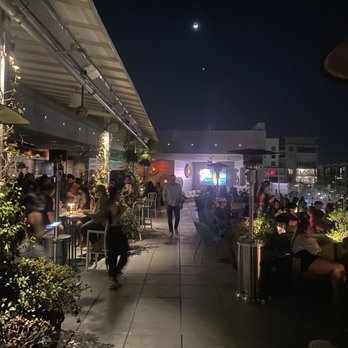 Botanical Lounge - Upstairs rooftop - Lounges Near Me - Raleigh, North Carolina