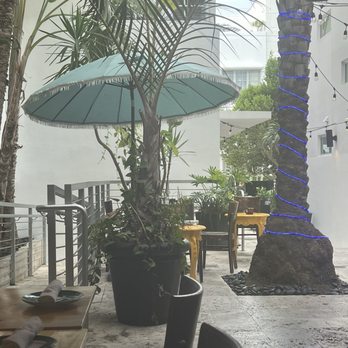 El Nogal Restaurant - Outside seating area - Cocktail Bars Near Me - Miami Beach, Florida El Nogal Restaurant - Outside seating area - Cocktail Bars Near Me - Miami Beach, Florida