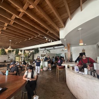Palomino Coffee - Coffee & Tea Near Me - Austin, Texas Palomino Coffee - Coffee & Tea Near Me - Austin, Texas