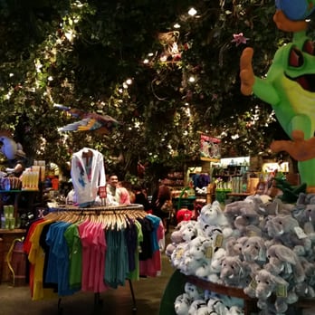 Rainforest Cafe - American Near Me - Ontario, California Rainforest Cafe - American Near Me - Ontario, California