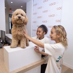 SOCO Pediatric Dentistry & Orthodontics - Peanut!