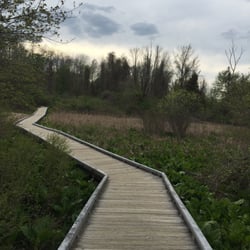 Battle Road Trail