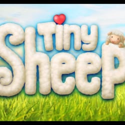 Tiny Sheep DayCare Preschool